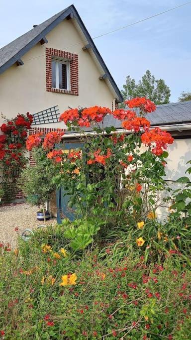 Villa Nenette Vue Mer Location A La Semaine Veulettes-sur-Mer Eksteriør bilde